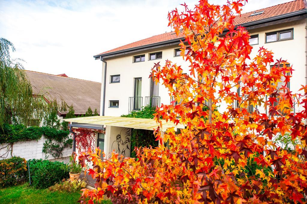 May Residence Dumbravita  Luaran gambar