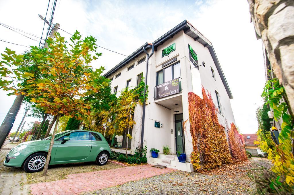 May Residence Dumbravita  Luaran gambar